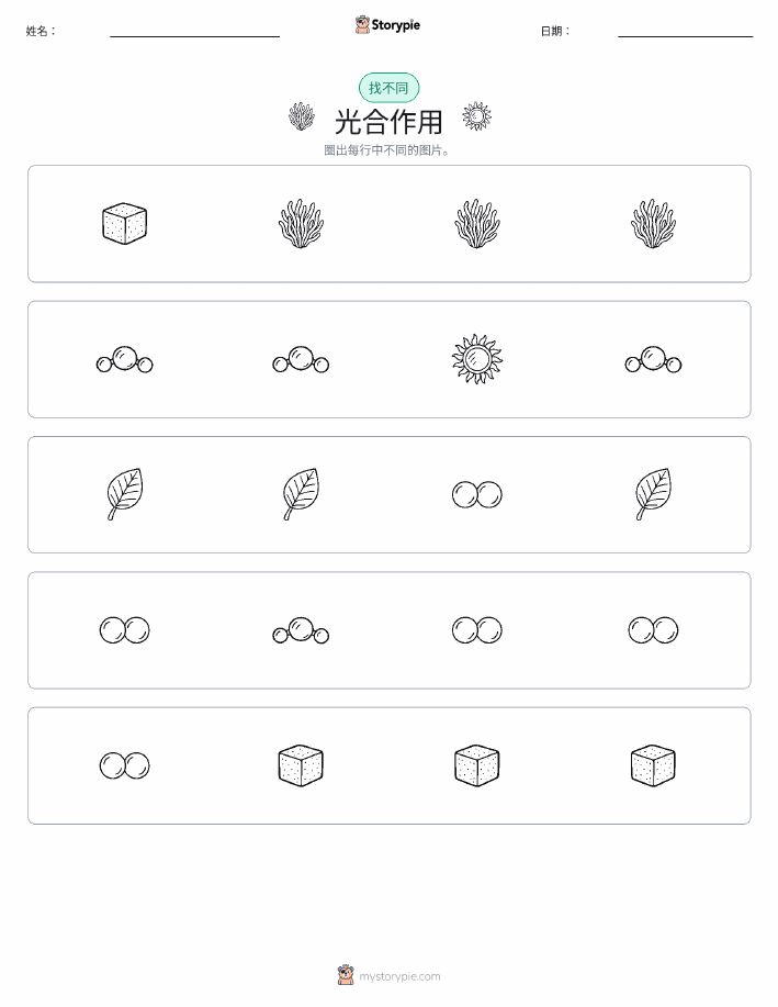 找不同