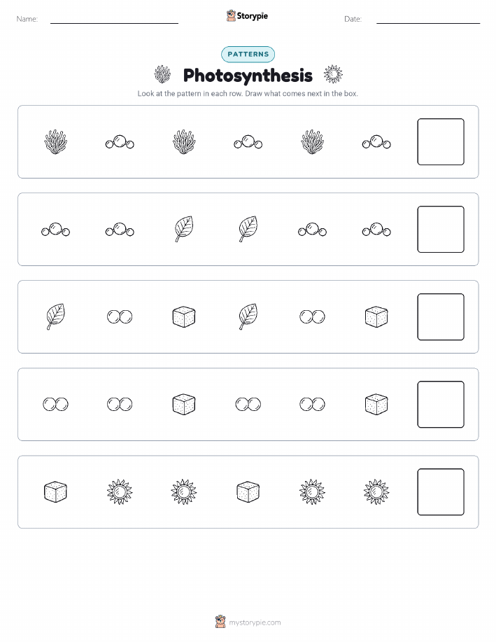 Patterns