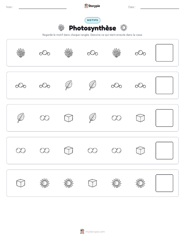 Motifs