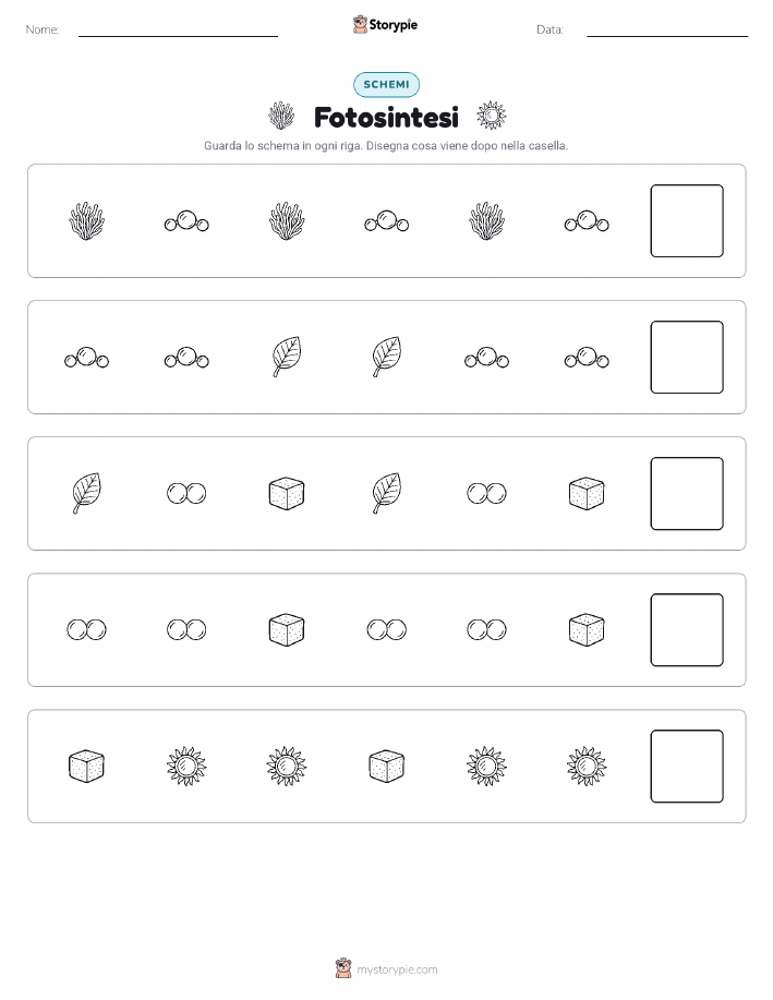 Pattern