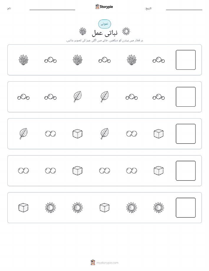 پیٹرن