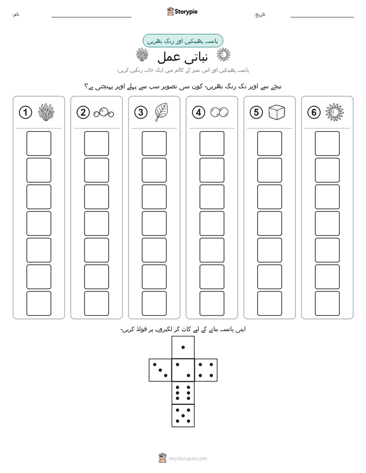 رول اور رنگ