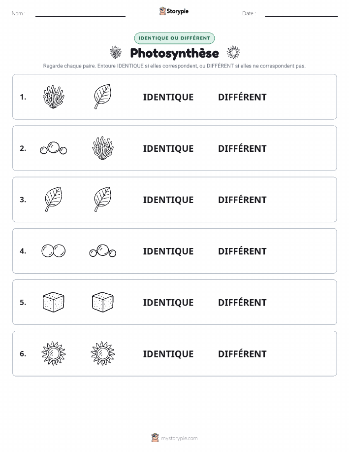 Identique ou Différent
