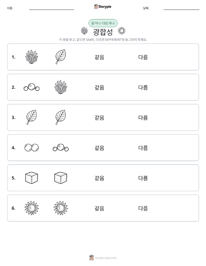 같은 것 또는 다른 것