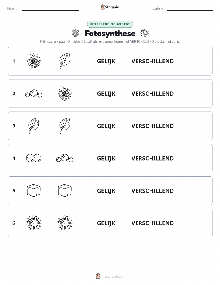 Zelfde of Verschillend