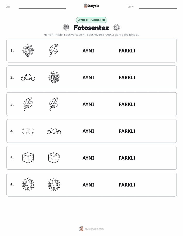 Aynı mı Farklı mı