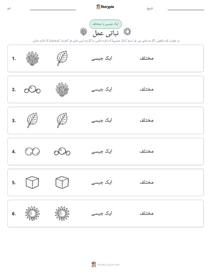 ایک جیسا یا مختلف