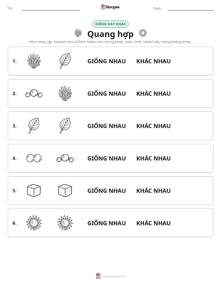 Giống Hay Khác