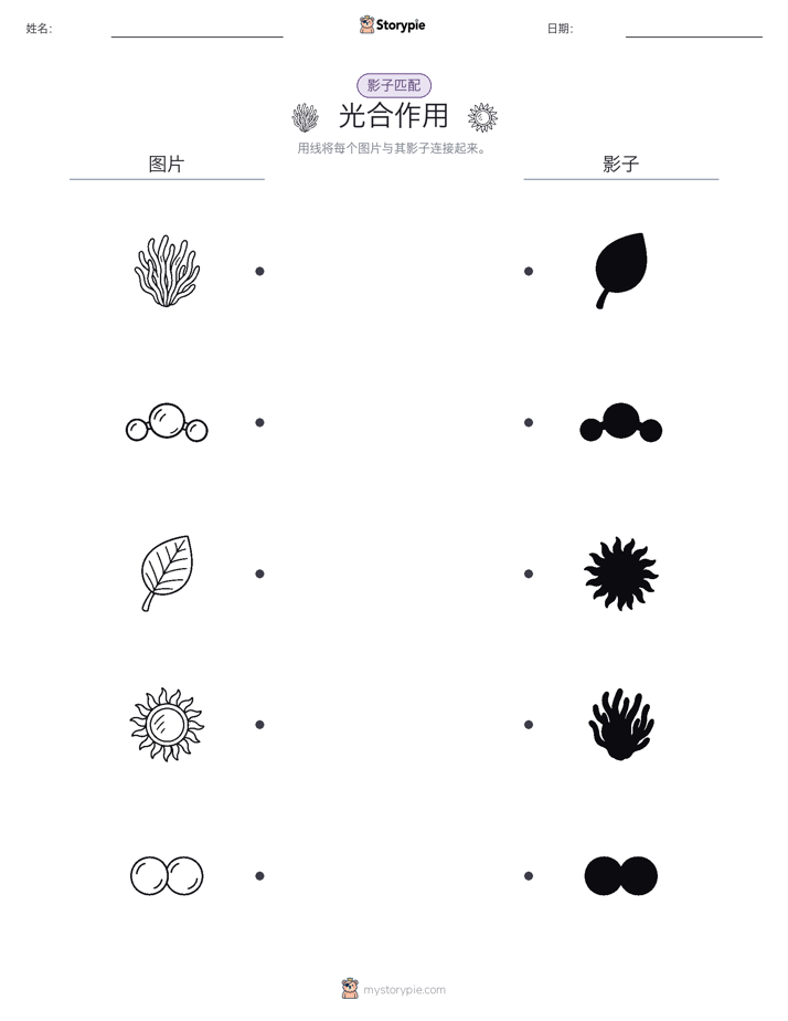 影子匹配