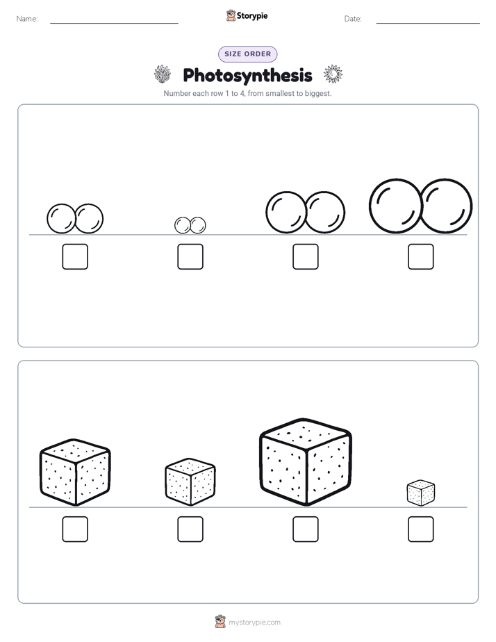 Size Order