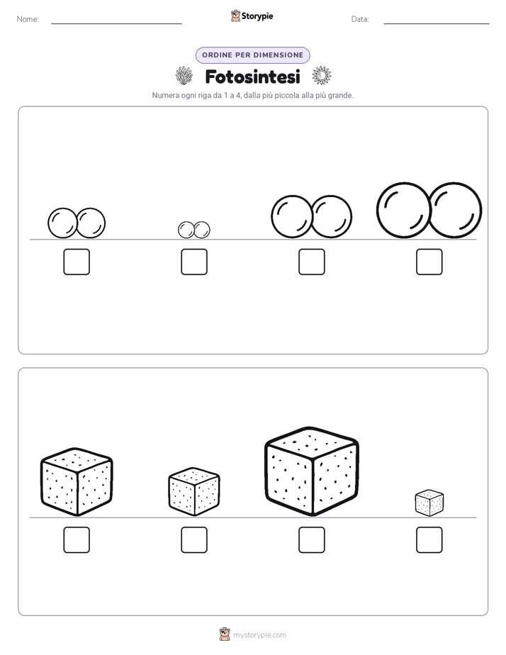 Ordine di Dimensione