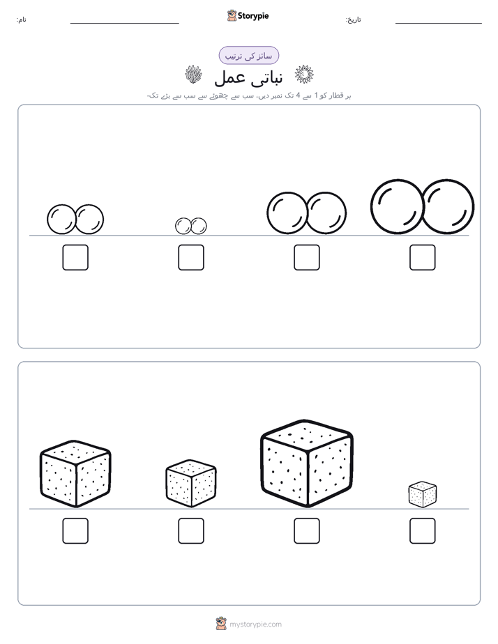 سائز کی ترتیب