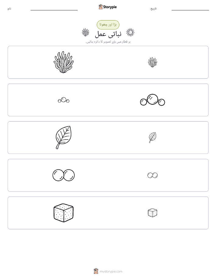 ترتیب دینا
