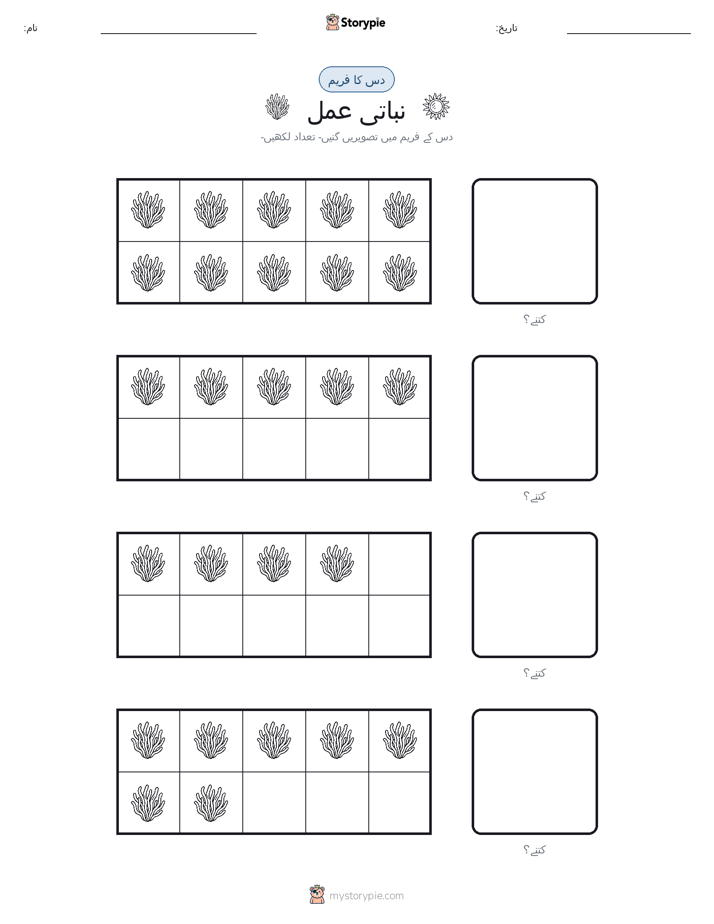 دس کا فریم