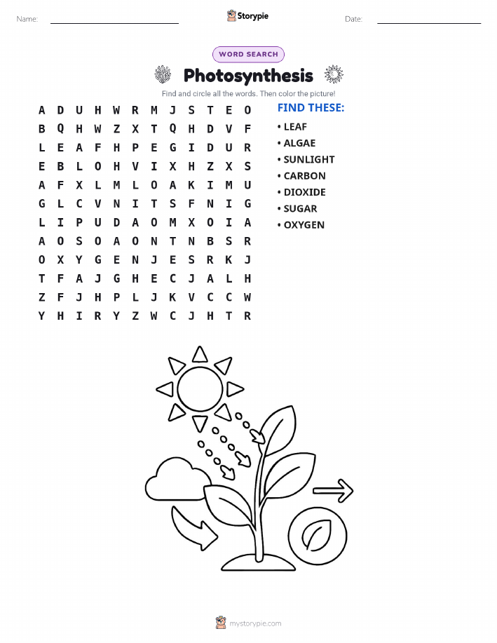 Word Search