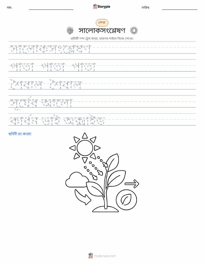 লেখার অনুশীলন