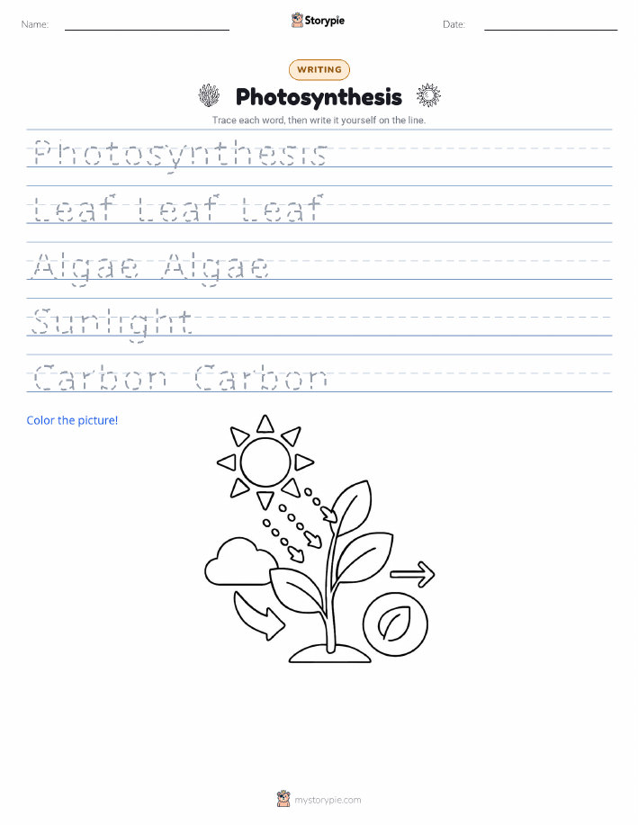 Writing Practice