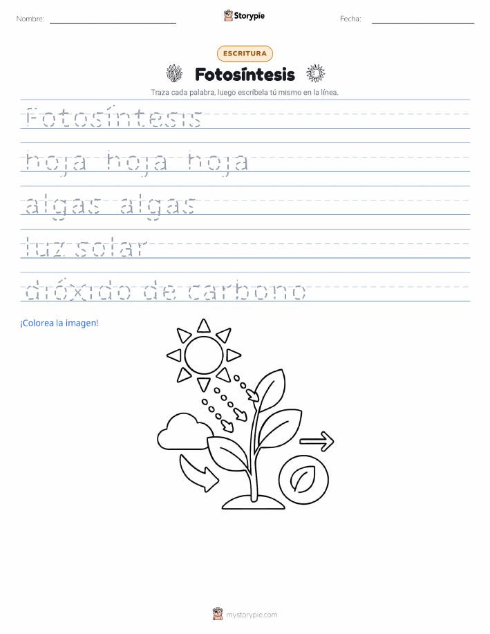 Práctica de Escritura
