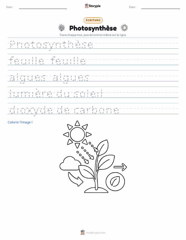 Pratique d'écriture
