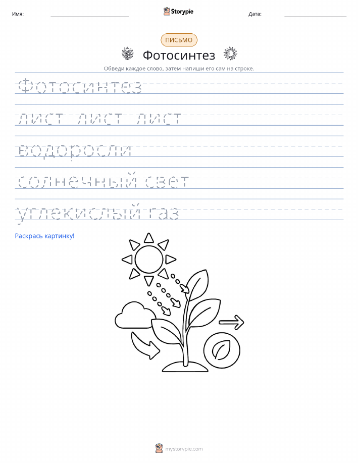 Практика письма