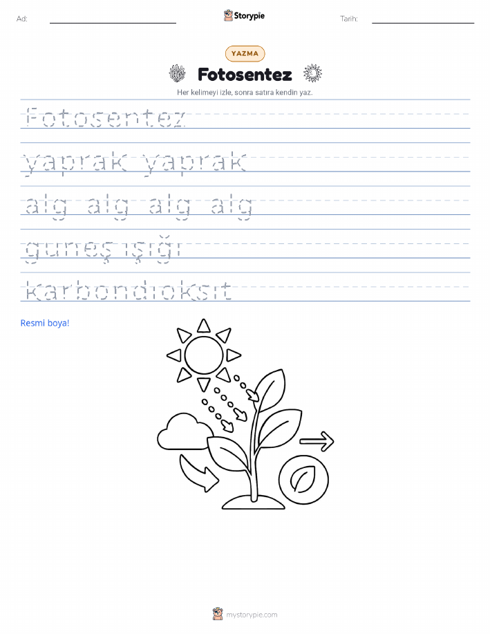 Yazma Pratiği