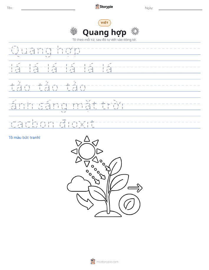 Luyện Viết