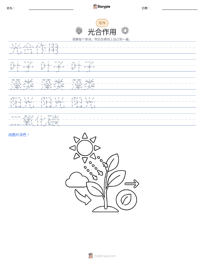 写作练习