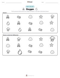 Oxygen printable worksheet preview