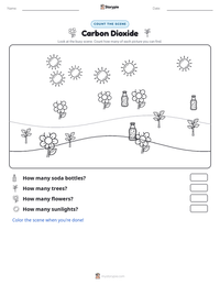 Carbon Dioxide printable worksheet preview