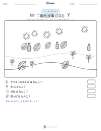 二酸化炭素 (CO2) の印刷可能ワークシートプレビュー