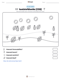 koolstofdioxide (CO2) afdrukbare werkblad voorbeeld