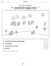 Podgląd drukowalnego arkusza ćwiczeń dwutlenek węgla (CO2)