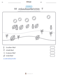คาร์บอนไดออกไซด์ (CO2) ตัวอย่างแบบฝึกหัดที่พิมพ์ได้