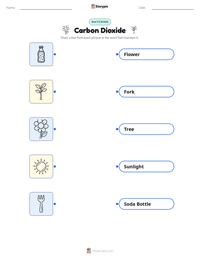 Carbon Dioxide printable worksheet for kids
