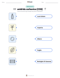 Scheda stampabile di anidride carbonica (CO2) per bambini