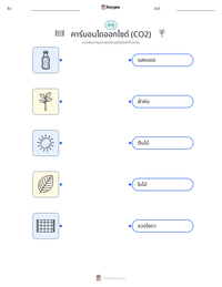 คาร์บอนไดออกไซด์ (CO2) แบบฝึกหัดที่พิมพ์ได้สำหรับเด็ก