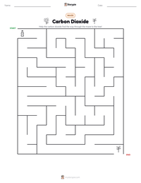 Carbon Dioxide printable worksheet preview