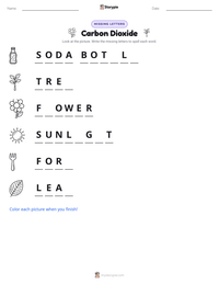 Carbon Dioxide printable worksheet preview