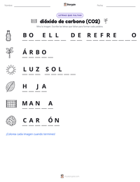 Vista previa de la hoja de trabajo imprimible de dióxido de carbono (CO2)