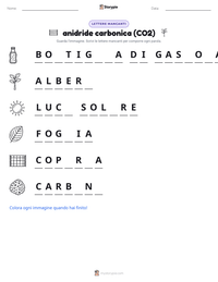 Anteprima della scheda stampabile di anidride carbonica (CO2)