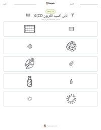 معاينة ورقة العمل القابلة للطباعة ثاني أكسيد الكربون (CO2)