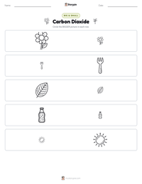 Carbon Dioxide printable worksheet preview