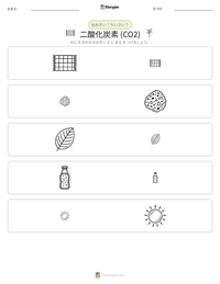 二酸化炭素 (CO2) の印刷可能ワークシートプレビュー