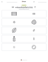 คาร์บอนไดออกไซด์ (CO2) ตัวอย่างแบบฝึกหัดที่พิมพ์ได้