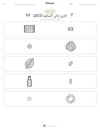 کاربن ڈائی آکسائیڈ (CO2) پرنٹ کرنے کے قابل ورکشیٹ کا پیش نظارہ