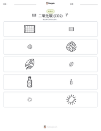二氧化碳 (CO2) 可打印工作表预览