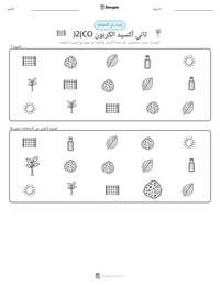 معاينة ورقة العمل القابلة للطباعة ثاني أكسيد الكربون (CO2)