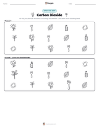 Carbon Dioxide printable worksheet preview