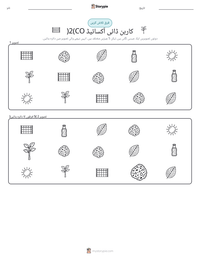 کاربن ڈائی آکسائیڈ (CO2) پرنٹ کرنے کے قابل ورکشیٹ کا پیش نظارہ