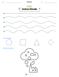 Carbon Dioxide printable worksheet preview